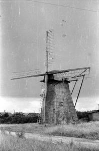 Hollandi tuulik Nõrava külas Kiuste talus 1957 EVM